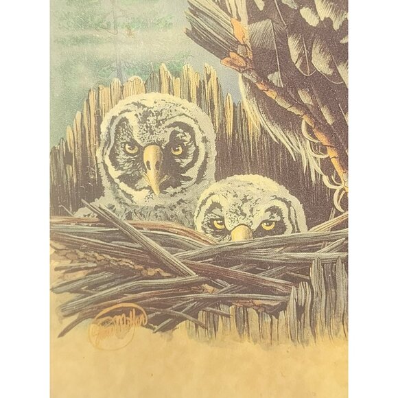 Vintage Great Grey Owl With Owlets‎ Wooden Wall Nature Scene Signed Steve Miller - Picture 4 of 8